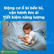 Quạt Trần Airfusion Akamani Strong