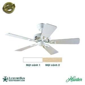 Hunter Seville Ii 24037