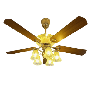 Dct 108 Vàng Cánh Gỗ đậm
