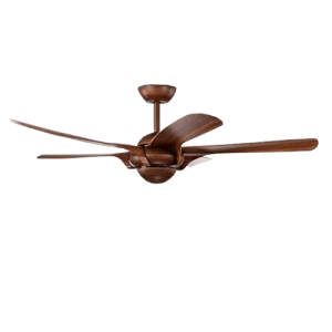 Dct Fan T1 đậm