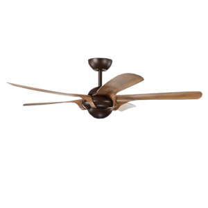 Dct Fan T1 Nhạt