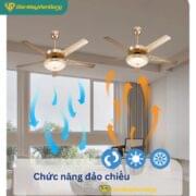 Quạt Trần 5 Cánh Daikisu Dc50a07
