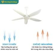 Quạt Trần 5 Cánh Daikisu Dc50a173t