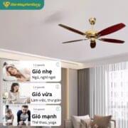 Quạt Trần Trang Trí Daikisu Dc50b01n