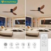 Quạt Trần 3 Cánh Daikisu Dc50b20gd