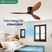 Quạt Trần 3 Cánh Daikisu Dc50b20gd