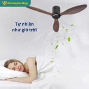 Quạt Trần 3 Cánh Daikisu Dc50d18n