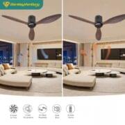 Quạt Trần 3 Cánh Daikisu Dc50d18n