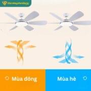 Quạt Trần 6 Cánh Daikisu Dc70a19pv