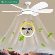 Quạt Trần 6 Cánh Daikisu Dc70a19pv