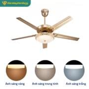 Quạt Trần 5 Cánh Daikisu Dc50a07