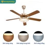 Quạt Trần 5 Cánh Daikisu Dc50a07g