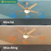 Quạt Trần 5 Cánh Daikisu Dc50b18v
