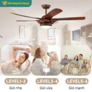 Quạt Trần đèn 5 Cánh Daikisu Dc55t1gdd