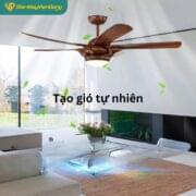 Quạt Trần đèn 5 Cánh Daikisu Dc55t1gdd