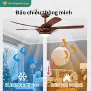 Quạt Trần đèn 5 Cánh Daikisu Dc55t1gdd