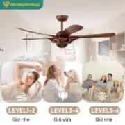 Quạt Trần 5 Cánh Daikisu Dc55t1gd