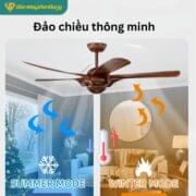 Quạt Trần 5 Cánh Daikisu Dc55t1gd