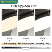 Quạt Trần 5 Cánh Daikisu Dc65h10d
