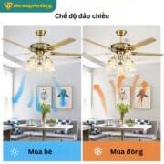 Quạt Trần đèn Trang Trí Daikisu Dc50a02