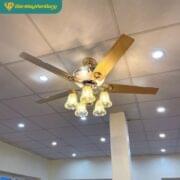 Quạt Trần đèn Trang Trí Daikisu Dc50a08kl