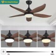 Quạt Trần đèn 5 Cánh Daikisu Dc50a17g