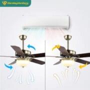 Quạt Trần đèn Trang Trí Daikisu Dc50a21g