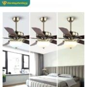 Quạt Trần đèn Trang Trí Daikisu Dc50a21g