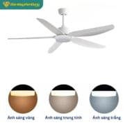 Quạt Trần đèn 5 Cánh Daikisu Dc50a43