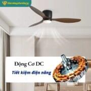 Quạt Trần 3 Cánh Daikisu Dc50b31gd