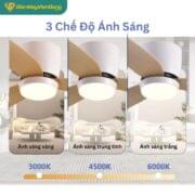 Quạt Trần 3 Cánh Daikisu Dc50b31gn