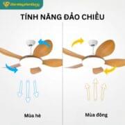 Quạt Trần đèn 5 Cánh Daikisu Dc50c350
