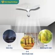 Quạt Trần đèn 3 Cánh Daikisu Dc50d19t