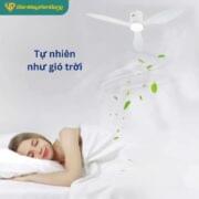 Quạt Trần đèn 3 Cánh Daikisu Dc50d19t