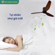 Quạt Trần 3 Cánh Daikisu Dc50d32