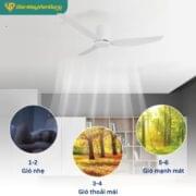 Quạt Trần 3 Cánh Daikisu Dc50d33