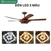 Quạt Trần đèn 5 Cánh Daikisu Dc55t1gdd