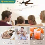 Quạt Trần 6 Cánh Daikisu Dc65a18g