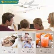 Quạt Trần 6 Cánh Daikisu Dc65a18t