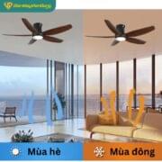 Quạt Trần đèn 5 Cánh Daikisu Dc70c02n