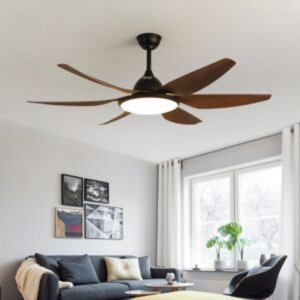 Mo ta DCT Fan 118 nau go