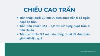 Lưu Nháp Tự động