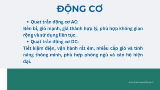 Lưu Nháp Tự động