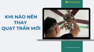 Lưu Nháp Tự động