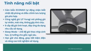Lưu Nháp Tự động