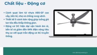 Lưu Nháp Tự động