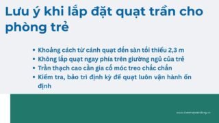 Quạt Trần Cho Phòng Trẻ Em