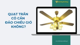 Lưu Nháp Tự động