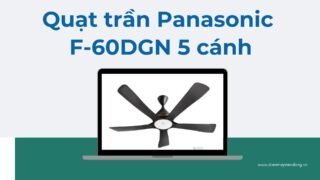 Lưu Nháp Tự động