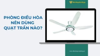 Lưu Nháp Tự động